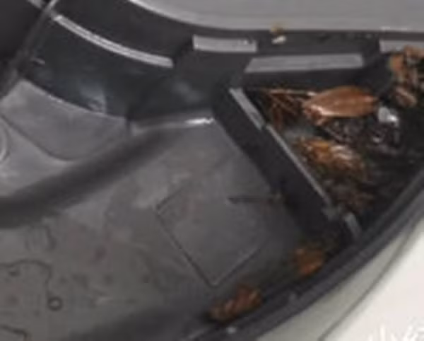 Cuoi nam ve sinh noi com dien, co gai khoc ngat vi dieu nay