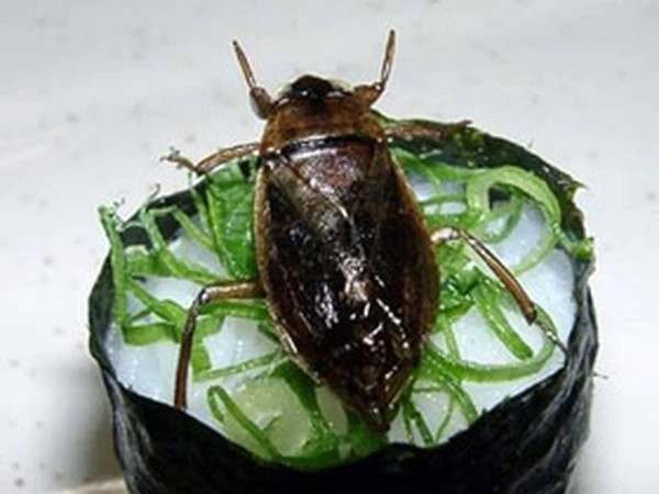 Để làm món này, những miếng sushi được làm theo công thức quen thuộc nhưng thay vì dùng thịt hay hải sản để làm topping, người ta sẽ đặt những con gián chiên giòn lên trên.