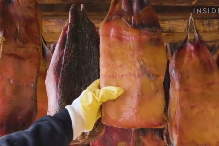 Đầu bếp nổi tiếng Anthony Bourdain từng nhận xét món Hákarl có hương vị "tồi tệ, ghê tởm, kinh khủng nhất" mà ông từng ăn.