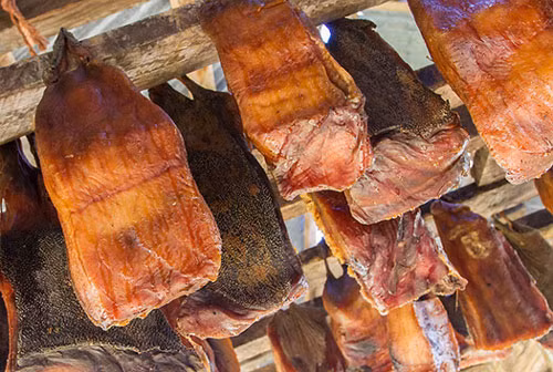 Một số du khách bạo gan nếm thử món ăn kinh dị Hákarl và nói rằng nó "có hương vị của ác mộng" với mùi hương giống như nước tiểu, pho mát thối và thậm chí là… xác chết.