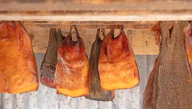 Sau 3 - 6 tháng, khi thịt cá mập trải qua một chu kỳ cấp đông và tan băng, họ sẽ đào lên và treo ngược xác cá trước gió trong ít nhất là 9 tháng để những miếng thịt này khô cứng lại.