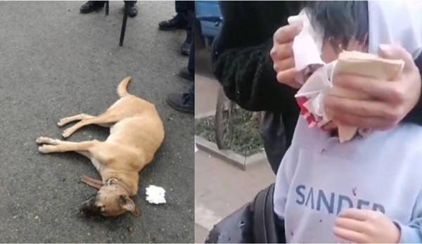 Di mua do an sang, be trai bi cho can nat mat