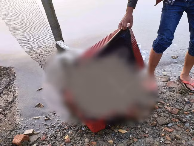 Thi the nu gioi phan khuc trong vali, lanh nguoi dong co gay an