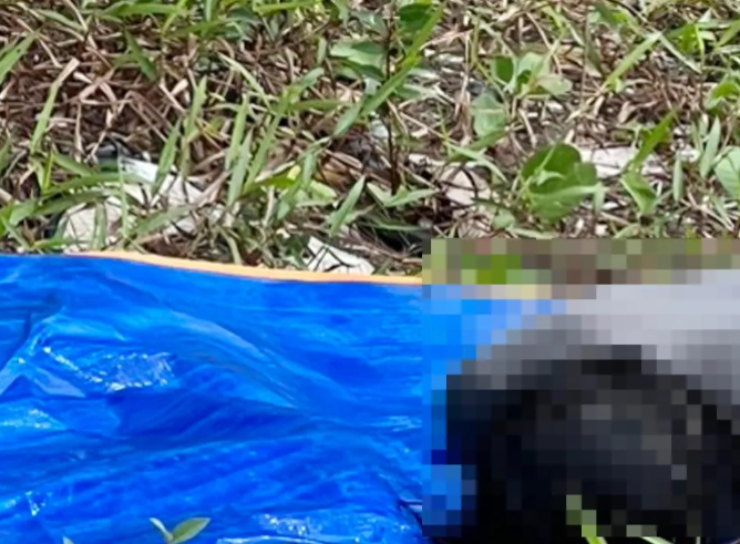  Thi thể người đàn ông trôi dạt vào bờ biển Phú Quốc: Trưa 4/10, người dân ấp Bãi Vòng, xã Hàm Ninh (Phú Quốc, Kiên Giang) phát hiện một thi thể trôi dạt vào bờ biển Bãi Dương. Sau khi đưa thi thể lên bờ, cơ quan chức năng ghi nhận nạn nhân là nam, khoảng 40 tuổi. Lãnh đạo Công an TP Phú Quốc cho biết đã có người ở ấp Suối Lớn, xã Dương Tơ, liên hệ cơ quan điều tra để nhận dạng. Nhà chức trách đang xác định nhân thân và điều tra nguyên nhân thiệt mạng của người đàn ông. 