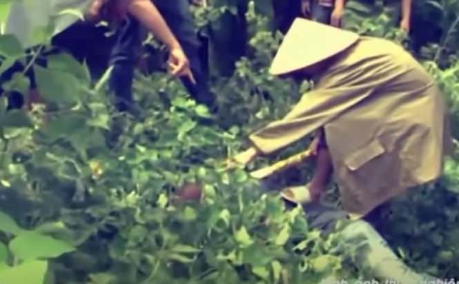 Theo đó, hôm xảy ra vụ án, Thọ mặc áo mưa, cầm theo dao quắm đi thăm nương keo. Phát hiện có trâu gặm cỏ trong nương keo nhà mình, gần đó là chị Âu Thị Ninh (trú cùng thôn) đang vừa nghe điện thoại vừa bứt một ngọn keo, Thọ đã rất bực. Hắn tiến đến gần, dùng chuôi dao đánh vào gáy nạn nhân, nhưng lúc đó chị Ninh quay lại nên cú đánh trúng vào trán. Nạn nhân cố gắng bỏ chạy, nhưng bị trượt chân, ngã úp mặt vào bụi cây ven đường. Lúc này, Thọ đuổi kịp nên lao vào đạp và dùng dao chém nhiều nhát vào vùng đầu nạn nhân. (Ảnh minh hoạ, nguồn ảnh: ANTV)