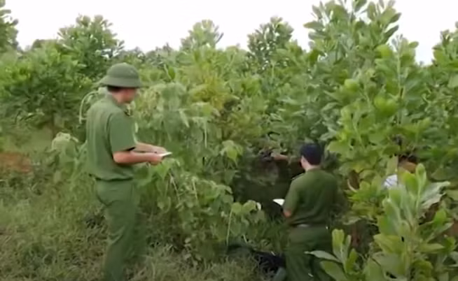 Phân tích đặc điểm, thời gian xảy ra vụ án, cơ quan Công an nghi ngờ hung thủ là người ở quanh hiện trường. Sau khi phát hiện nhiều dấu vết gần khu vực tìm thấy xác người phụ nữ mất tích, lực lượng phá án nhận định đã xảy ra vật lộn quyết liệt giữa nạn nhân và đối tượng. Ngay sau đó, nhiều mũi trinh sát đã rà soát các đối tượng nghi vấn ở quanh vùng. (Ảnh minh hoạ, nguồn ảnh ANTV) 