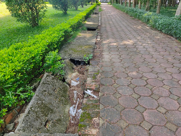 Sau nhiều năm đi vào hoạt động, đến nay nhiều hạng mục của công viên xuống cấp trầm trọng mà không được tu sửa. 