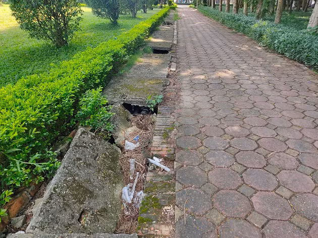 Sau nhiều năm đi vào hoạt động, đến nay nhiều hạng mục của công viên xuống cấp trầm trọng mà không được tu sửa. 