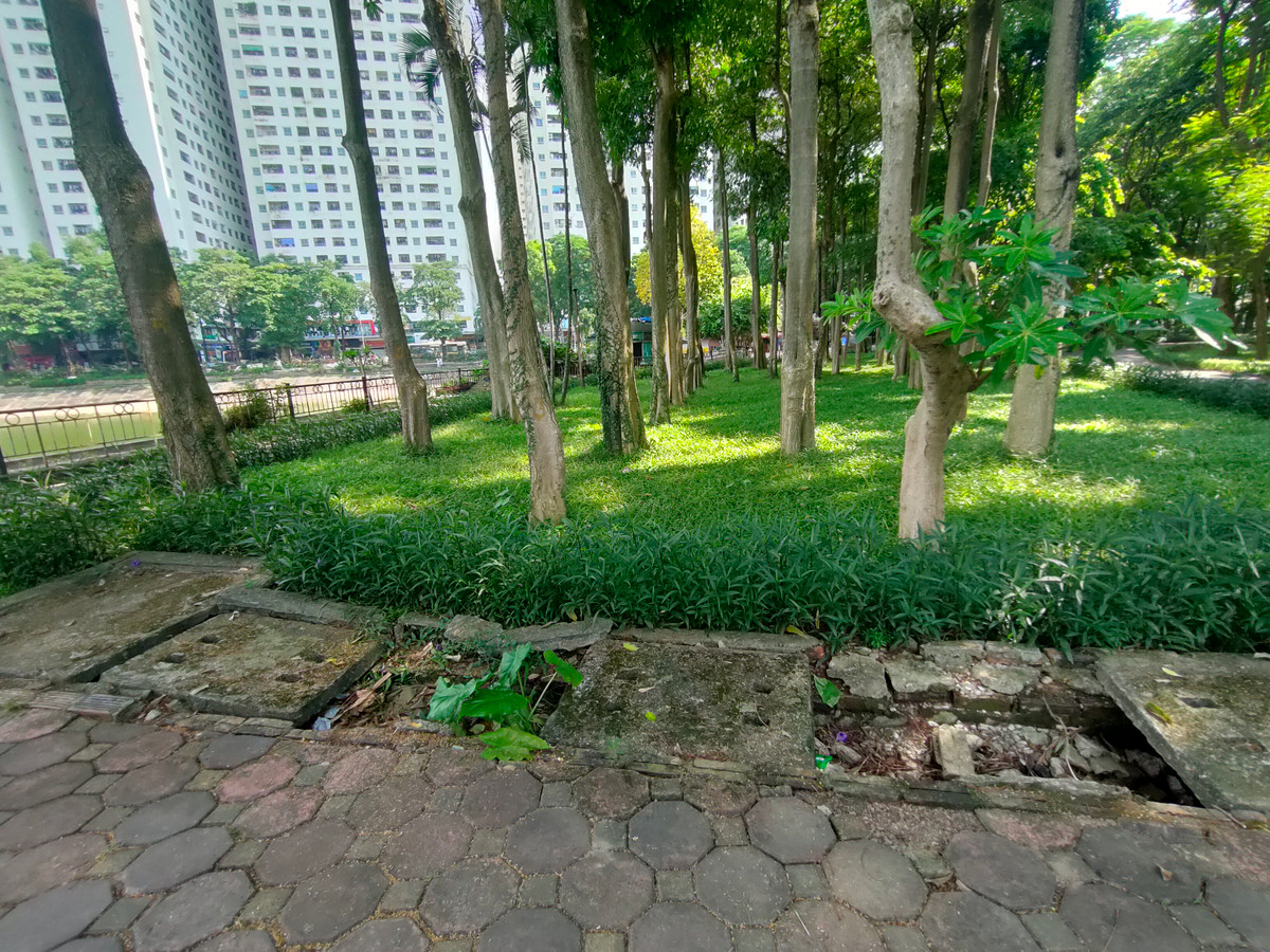 Trong kế hoạch cải tạo, nâng cấp vườn hoa và công viên mà UBND TP Hà Nội vừa ban hành, công viên Bắc Linh Đàm nằm trong danh mục 10 công viên được cải tạo, sửa chữa ở mức độ 2. 