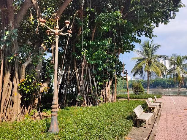 Toàn bộ hệ thống đèn chiếu sáng ở khu vực cổng chính và đường dạo quanh công viên đã bị cháy, vỡ, không hoạt động nhiều năm nay. Người dân nơi đây cho biết, do không có đèn chiếu sáng vào ban đêm nên chỉ dám tập thể dục ở công viên vào buổi sáng và buổi chiều. 