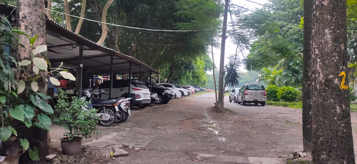 Chỗ trống trong công viên được tận dụng làm bãi trông xe ô tô. 