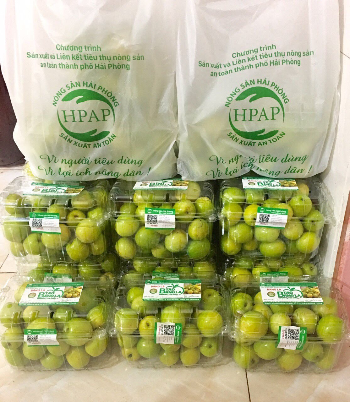 Từ nhiều năm nay, phường Bàng La (quận Đồ Sơn, TP Hải Phòng) có nghề truyền thống trồng táo trên đất làm muối, cũng chính bởi vậy nên giống táo ngon trứ danh của Bàng La mới có tên táo muối.