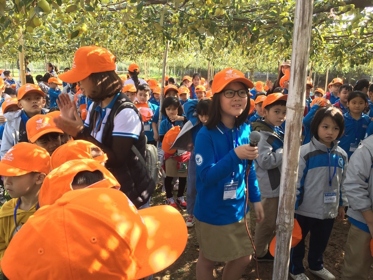 Năm đầu tiên bắt đầu thí điểm trồng táo theo phương pháp leo giàn, thông qua báo đài, đã có rất nhiều đơn vị, học sinh của các trường nội thành đến tham quan, trải nghiệm.