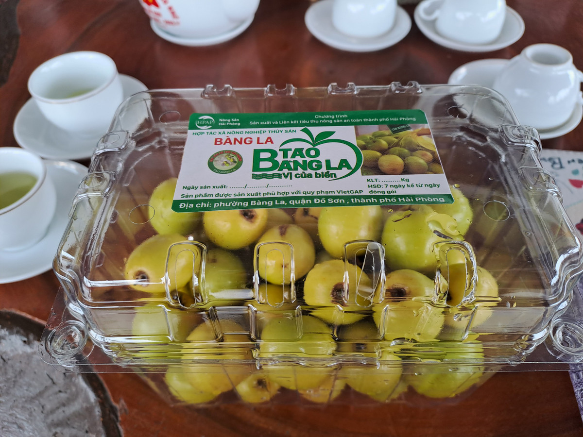 Không chỉ ngon nổi tiếng Hải Phòng, mấy năm trở lại đây, thương hiệu táo muối Bàng La đã lan rộng và được người dân trên cả nước biết đến, ưa chuộng.