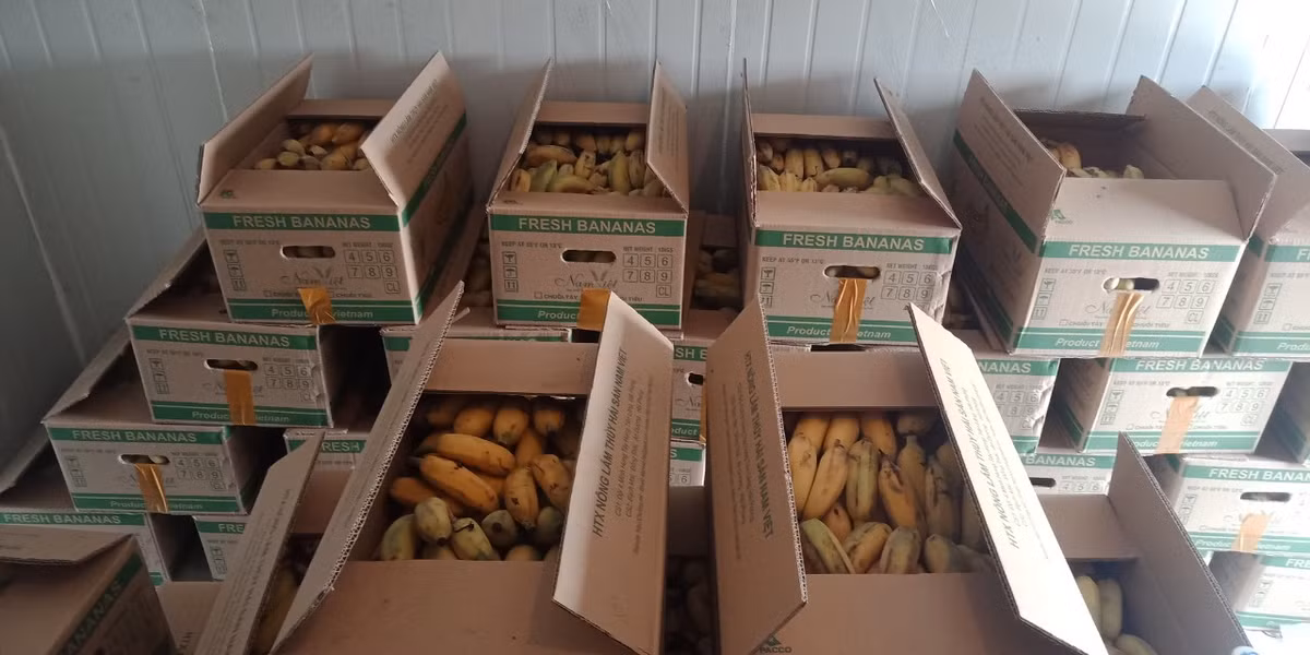 Nam giảng viên nghỉ dạy về làm nông nghiệp sạch, thu hàng chục tỷ mỗi năm - Hình 11 Nam giang vien nghi day ve lam nong nghiep sach, thu hang chuc ty moi nam-Hinh-11