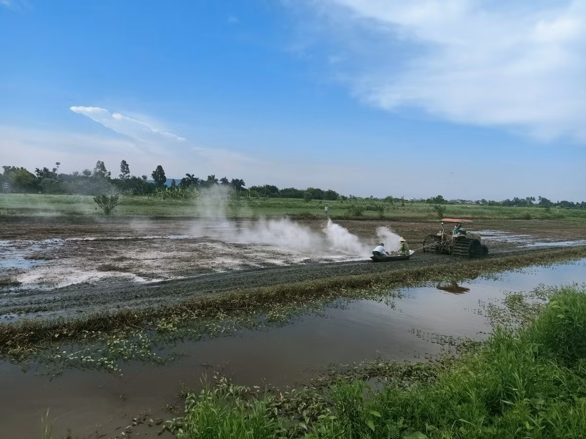 Nam giảng viên nghỉ dạy về làm nông nghiệp sạch, thu hàng chục tỷ mỗi năm - Hình 3 Nam giang vien nghi day ve lam nong nghiep sach, thu hang chuc ty moi nam-Hinh-3
