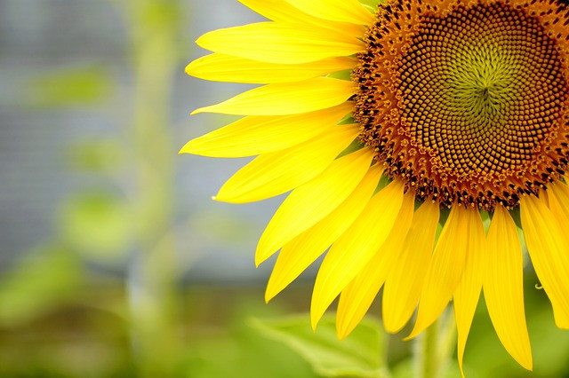 Nhung nguoi sinh vao gio nay khiem ton, cham chi, moi su vien man