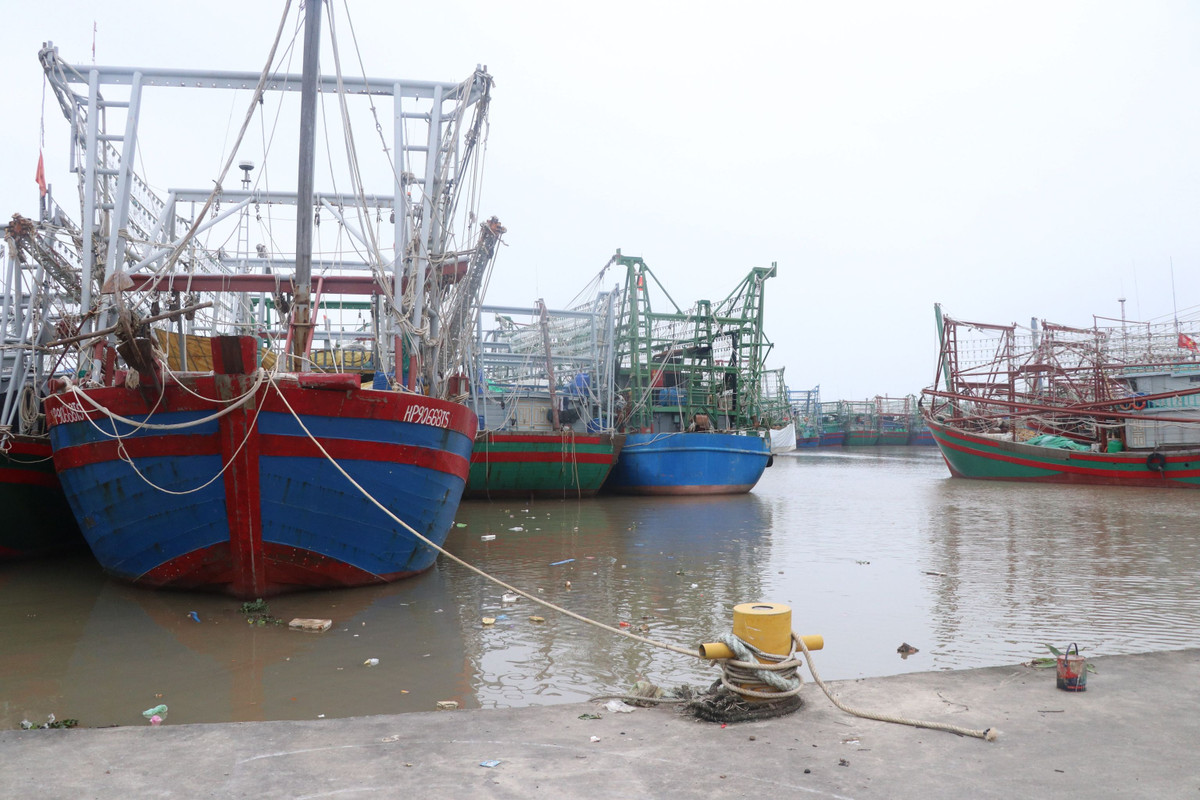 Hải Phòng: Hàng trăm tàu cá phải nằm bờ, ngư dân như ngồi trên lửa - Hình 2 Hai Phong: Hang tram tau ca phai nam bo, ngu dan nhu ngoi tren lua-Hinh-2