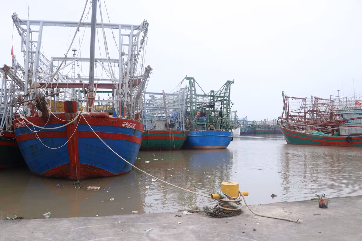 Hai Phong: Hang tram tau ca phai nam bo, ngu dan nhu ngoi tren lua-Hinh-2