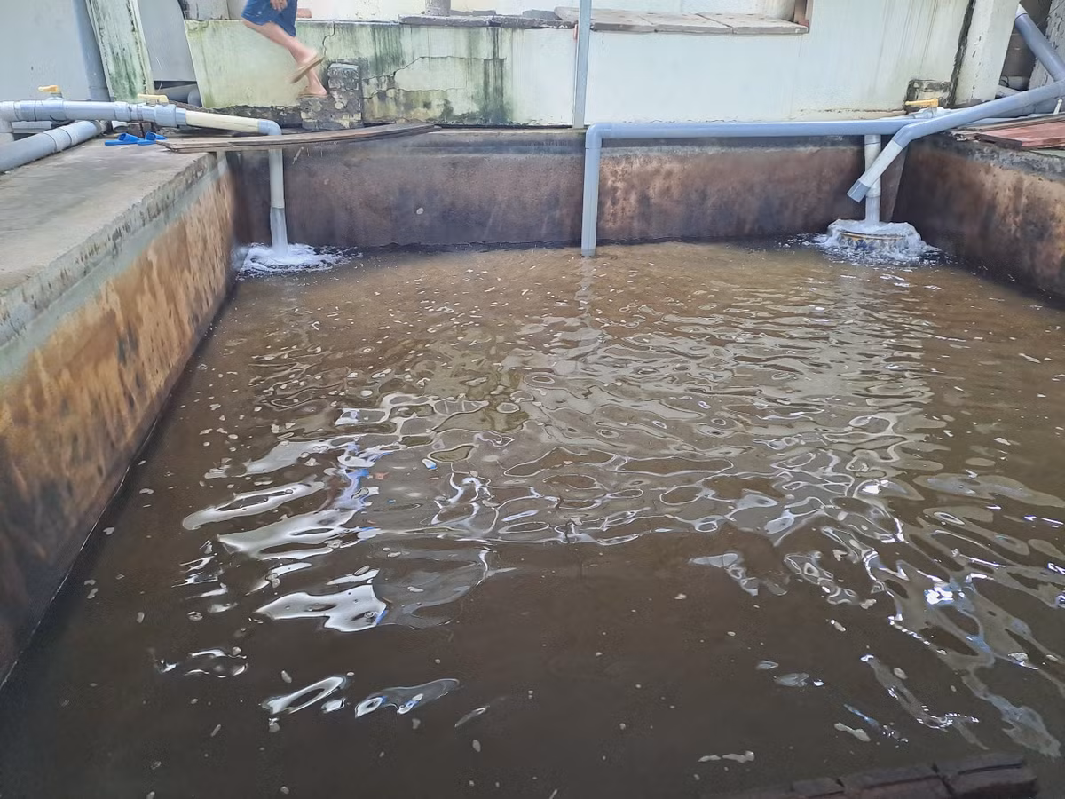 Hai Phong: Hang tram ho dan keu cuu vi nuoc sinh hoat co mui hoi-Hinh-5