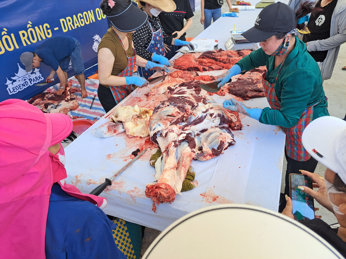 3 triệu /kg thịt trâu chọi Đồ Sơn, khách vẫn nườm nượp mua - Hình 4 3 trieu /kg thit trau choi Do Son, khach van nuom nuop mua-Hinh-4