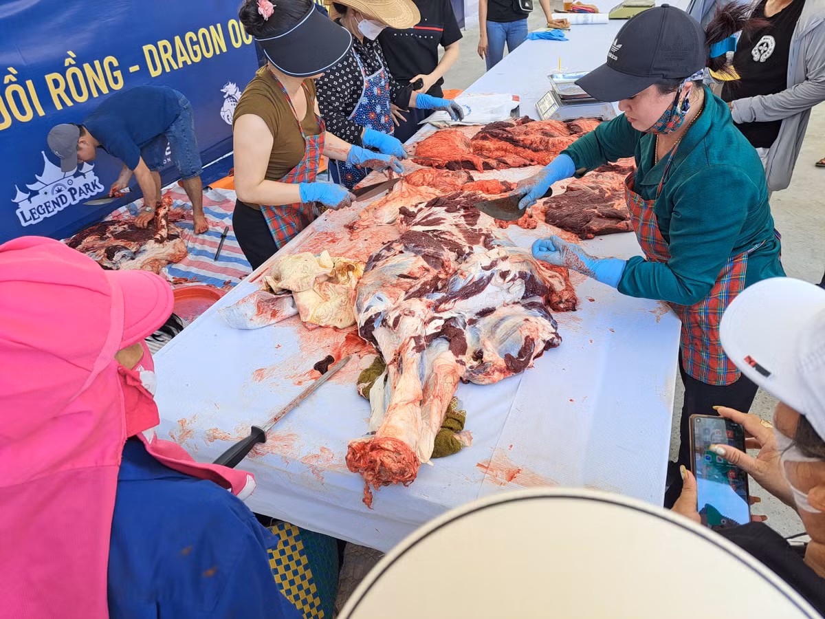 3 trieu /kg thit trau choi Do Son, khach van nuom nuop mua-Hinh-4