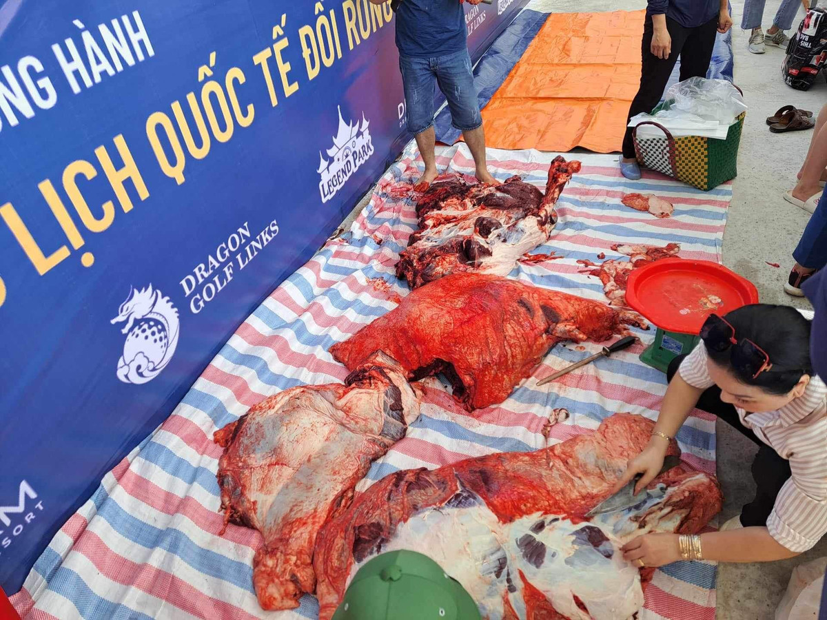 3 triệu /kg thịt trâu chọi Đồ Sơn, khách vẫn nườm nượp mua - Hình 5 3 trieu /kg thit trau choi Do Son, khach van nuom nuop mua-Hinh-5