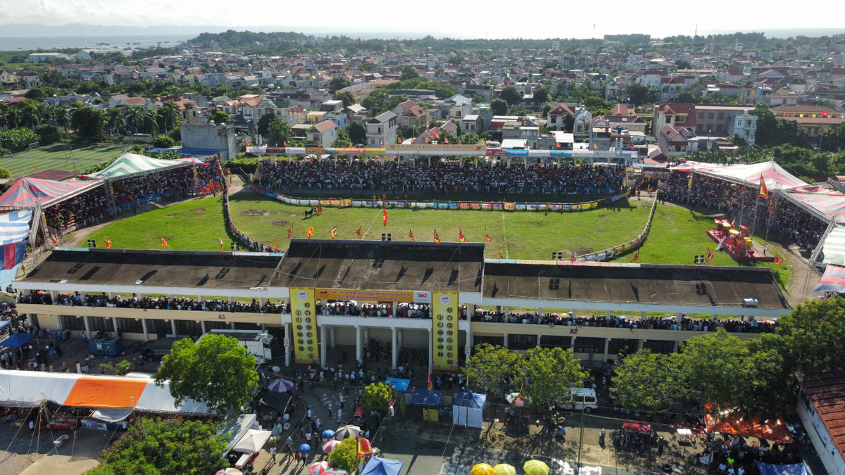 3 triệu /kg thịt trâu chọi Đồ Sơn, khách vẫn nườm nượp mua - Hình 11 3 trieu /kg thit trau choi Do Son, khach van nuom nuop mua-Hinh-11