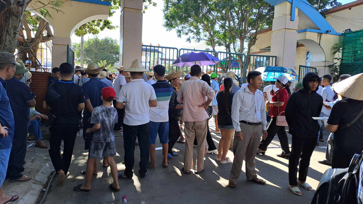 3 triệu /kg thịt trâu chọi Đồ Sơn, khách vẫn nườm nượp mua - Hình 7 3 trieu /kg thit trau choi Do Son, khach van nuom nuop mua-Hinh-7