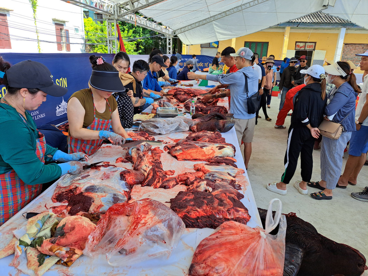 3 triệu /kg thịt trâu chọi Đồ Sơn, khách vẫn nườm nượp mua - Hình 3 3 trieu /kg thit trau choi Do Son, khach van nuom nuop mua-Hinh-3