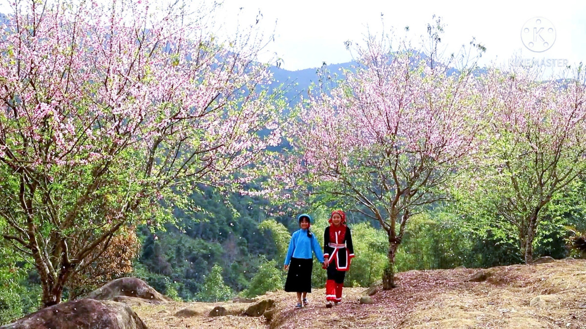 Để chuẩn bị tốt nhất cho bà con đến lớp, ngoài giáo án đặc biệt chuyên dụng cho chương trình xóa mù chữ, Trung tâm học tập cộng đồng các xã còn chuẩn bị bộ phấn trắng, bảng, vở, bút cho bà con.