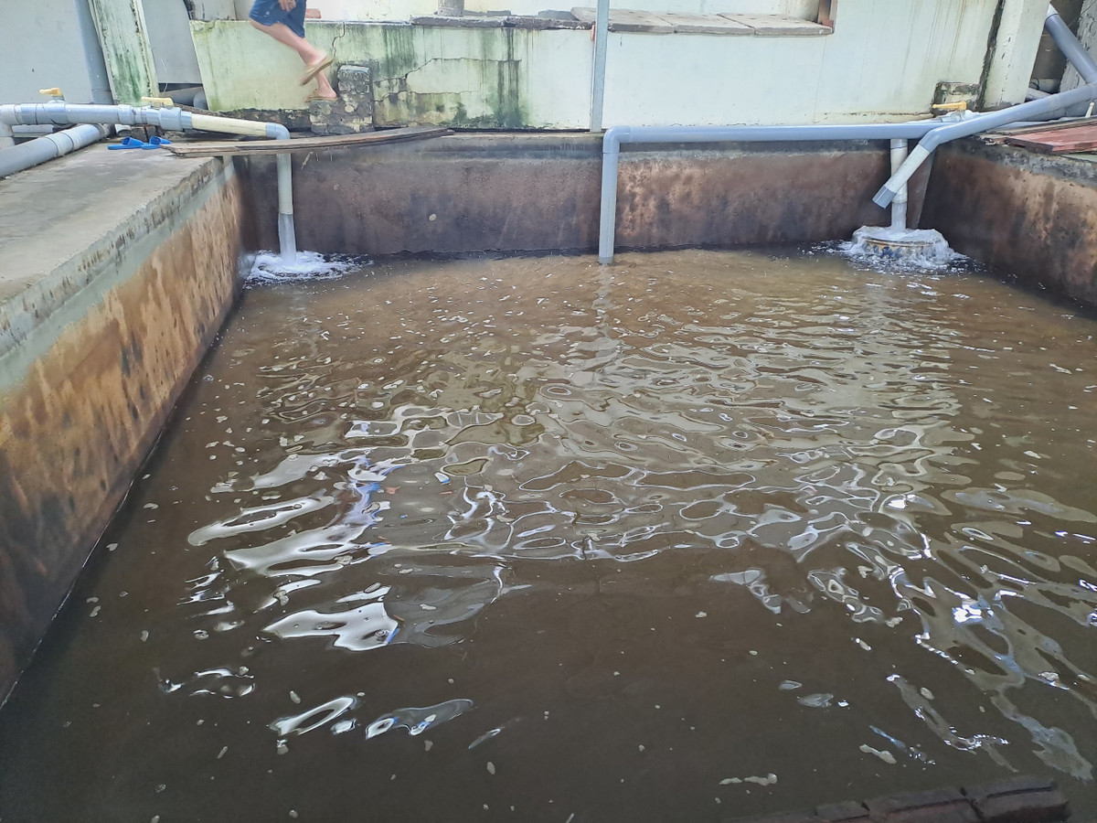 Dân kêu nước bẩn: Nhà máy nước đồng ý chuyển giao cho đơn vị khác - Hình 2 Dan keu nuoc ban: Nha may nuoc dong y chuyen giao cho don vi khac-Hinh-2