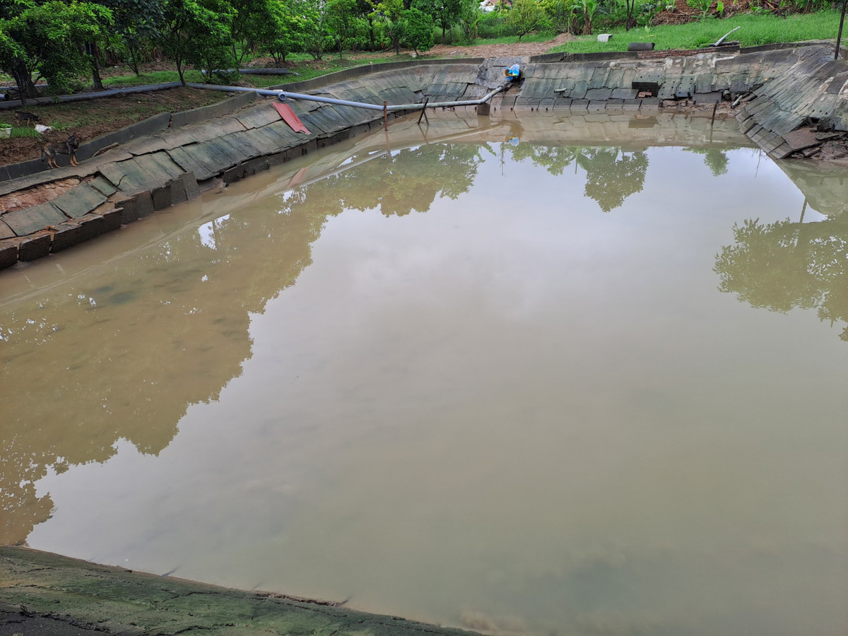 Dân kêu nước bẩn: Nhà máy nước đồng ý chuyển giao cho đơn vị khác - Hình 3 Dan keu nuoc ban: Nha may nuoc dong y chuyen giao cho don vi khac-Hinh-3