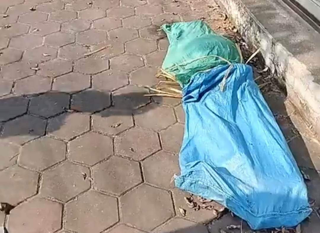 Hải Phòng: Xác định danh tính thi thể phụ nữ trong bao tải Hai Phong: Xac dinh danh tinh thi the phu nu trong bao tai