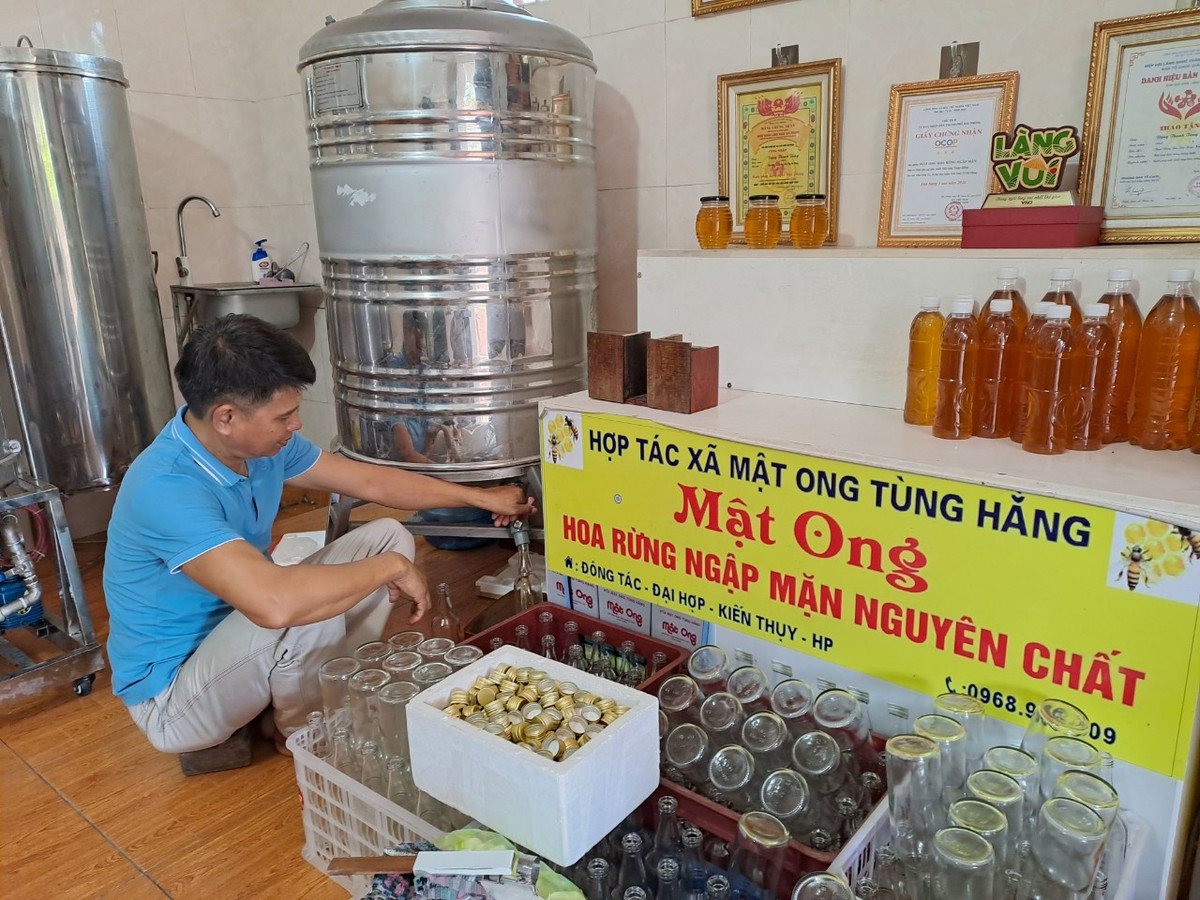 Hiện tại đàn ong của HTX Tùng Hằng là 800 đàn. Trung bình một năm, mỗi đàn ong cho thu hoạch 12 lít mật, tổng lượng mật của HTX là 10.000 lít/năm. Sản phẩm có tem mác, nguồn gốc, chứng nhận vệ sinh an toàn thực phẩm, có hộp đựng...