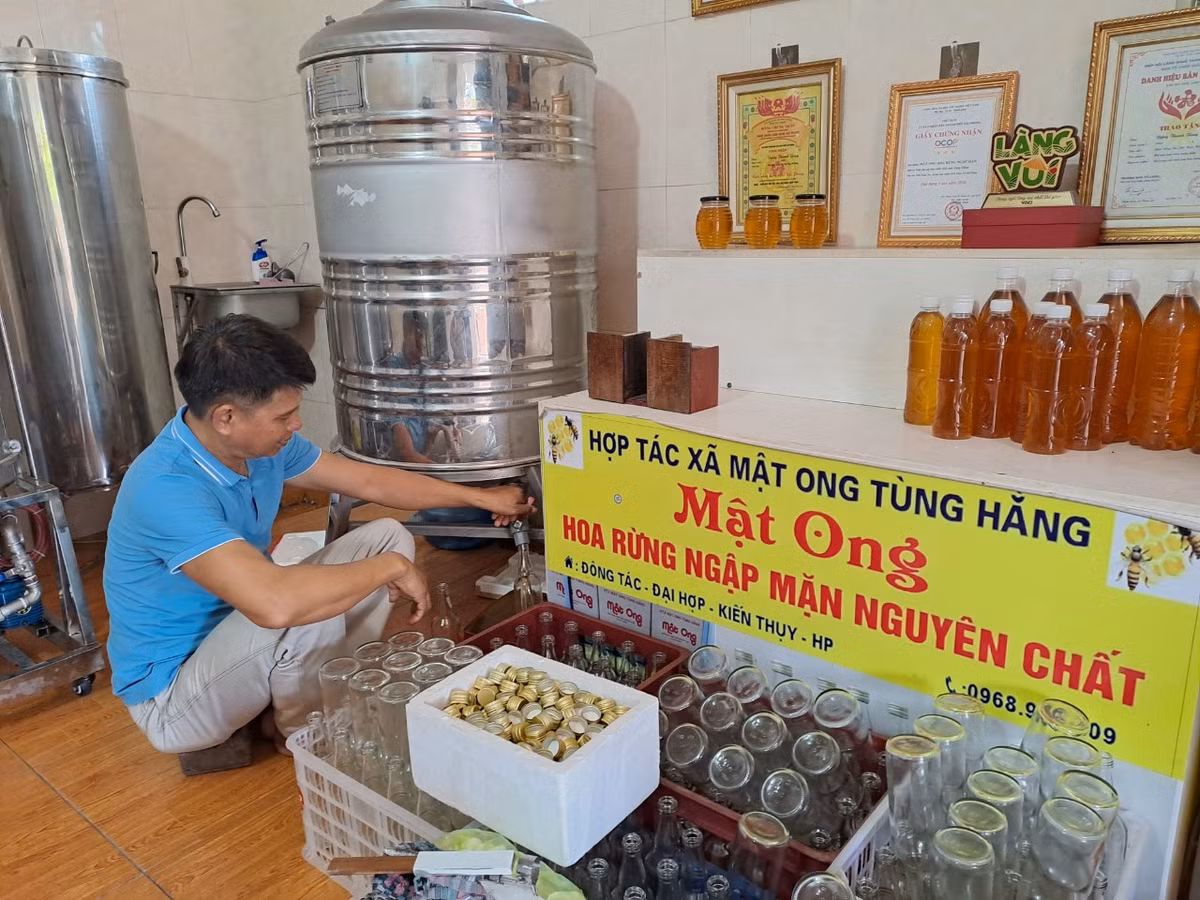 Hiện tại đàn ong của HTX Tùng Hằng là 800 đàn. Trung bình một năm, mỗi đàn ong cho thu hoạch 12 lít mật, tổng lượng mật của HTX là 10.000 lít/năm. Sản phẩm có tem mác, nguồn gốc, chứng nhận vệ sinh an toàn thực phẩm, có hộp đựng...