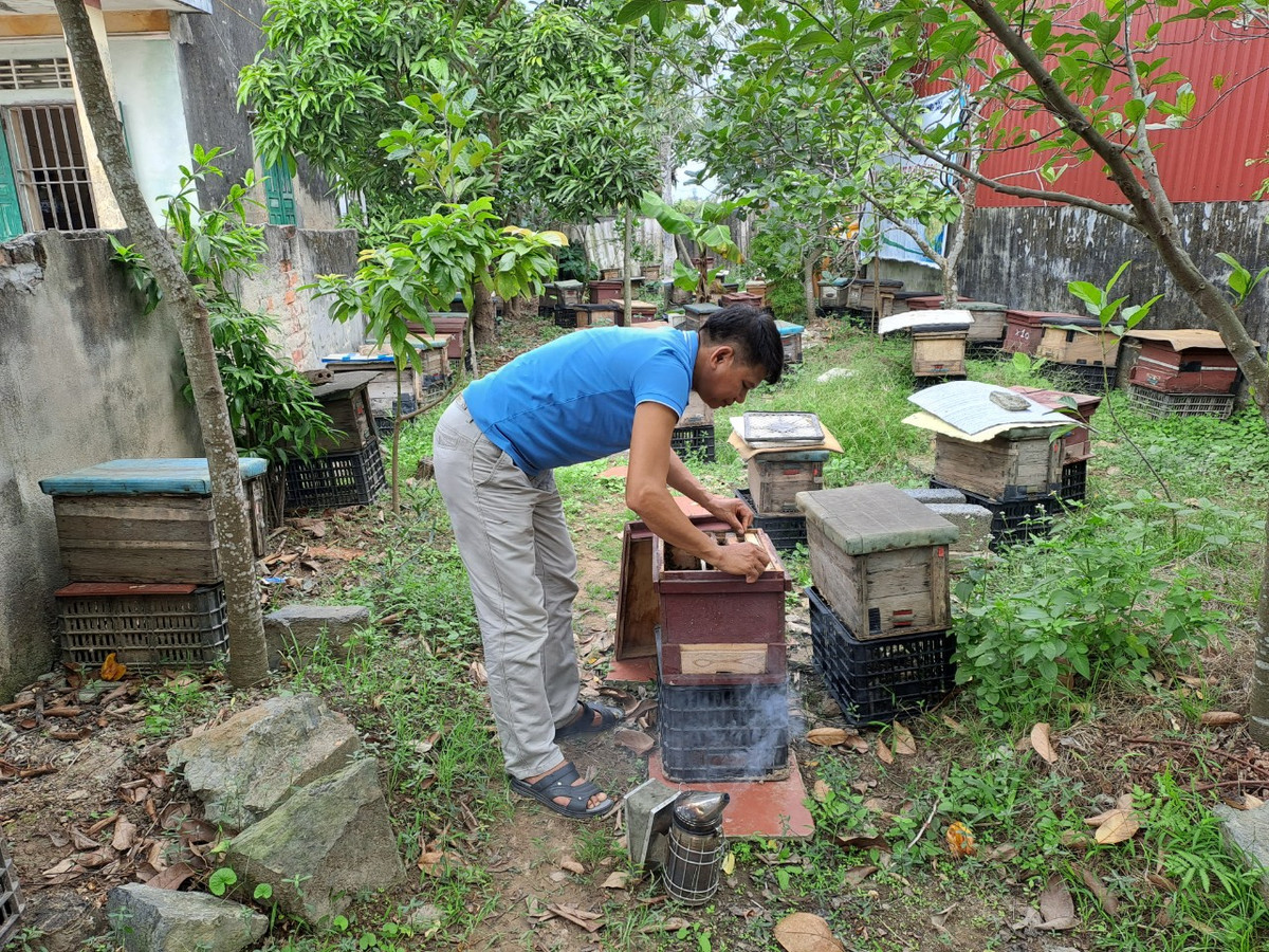 Mật ong của HTX rất được ưa chuộng tại các thị trường như Hải Phòng, Quảng Ninh, Hà Nội, Thanh Hóa, Nghệ An...