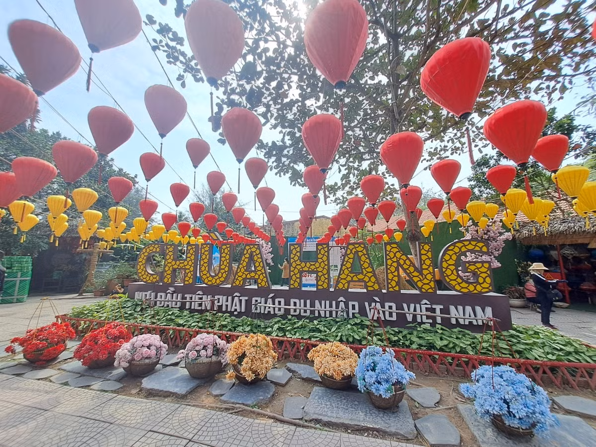 Cùng với miếu Thị Đa ở Cốc Liễn (huyện Kiến Thụy gần đó, thờ Chử Đồng Tử) chùa Hang còn lưu giữ chứng tích quý liên quan đến quá trình đạo Phật du nhập vào nước ta.