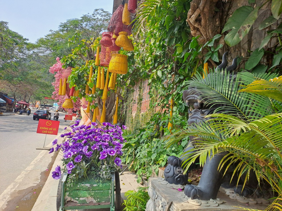 Nét đẹp đặc biệt của Chùa Hang đó chính là phong cảnh cực kì hài hòa, thế lưng tựa núi, mặt hướng biển, không khí trong hang lúc nào cũng mát mẻ và dễ chịu.