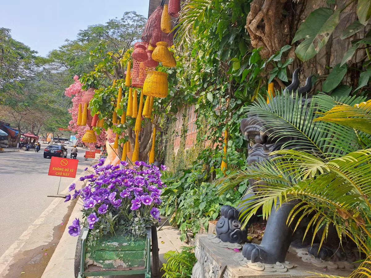 Nét đẹp đặc biệt của Chùa Hang đó chính là phong cảnh cực kì hài hòa, thế lưng tựa núi, mặt hướng biển, không khí trong hang lúc nào cũng mát mẻ và dễ chịu.