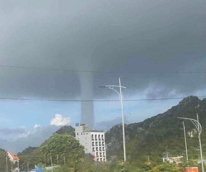 Hai Phong: Xuat hien voi rong cao hang tram met