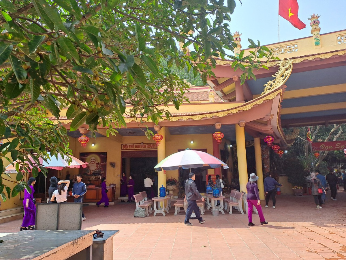 Đầu xuân, về Đồ Sơn, Hải Phòng ngắm biển xanh sóng vỗ rì rào, thưởng thức hải sản và ghé đền Bà Đế thắp hương, chiêm bái, ước nguyện một năm nhiều may mắn, bình an cho người thân và gia đình.