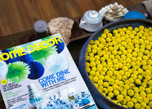 Không kiêu sa như hoa hồng, rực rỡ sắc màu như nhiều loài hoa khác nhưng cúc chi thả nước lại mang một vẻ đẹp thuần khiết, bình dị và có sức quyến rũ riêng bởi mùi thơm.