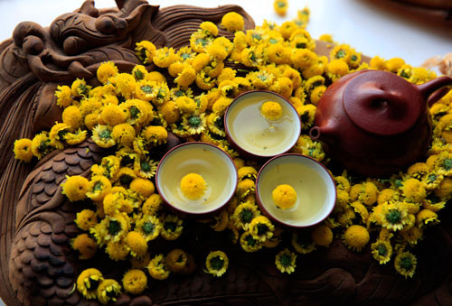 Hoa cúc có thể được sử dụng trực tiếp như trà bởi có tính hàn, thanh mát và hương thơm dễ chịu; giúp chữa các bệnh thanh nhiệt, giải độc, bổ não...