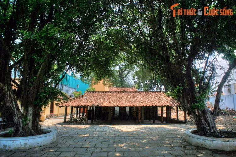 Theo ấn phẩm “Lịch sử Gò Vấp và Thành phố Hồ Chí Minh”, Gò Vấp là một trong những vùng đất được khai phá đầu tiên ở khu vực Sài Gòn – Gia Định, gắn liền với những thế hệ lưu dân Việt đi mở đất từ cuối thế kỷ 16 sang đầu thế kỷ 17.