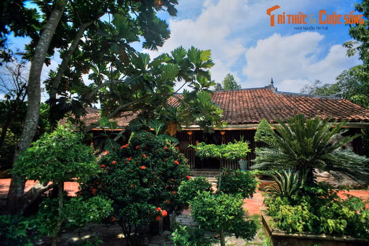 Nằm ẩn mình giữa một vườn cây ăn trái xanh mát ở làng cổ Đông Hòa Hiệp (xã Đông Hòa Hiệp, huyện Cái Bè, tỉnh Tiền Giang), căn nhà cổ của gia đình ông Trần Tuấn Kiệt được coi là một trong những ngôi nhà cổ đẹp nhất Nam Bộ cũng như cả Việt Nam.