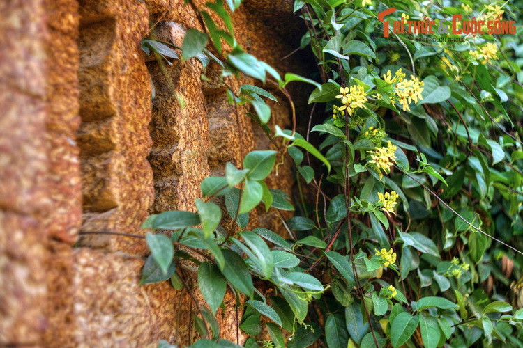 Về mặt mỹ thuật, đá ong có bề mặt thô mộc, sắc màu tươi tắn tự nhiên của đất, đem lại một dáng vẻ độc đáo và sức hút đặc biệt cho công trình, nhất là khi xây theo phong cách truyền thống.