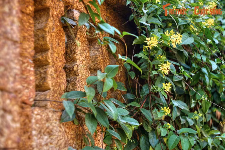 Về mặt mỹ thuật, đá ong có bề mặt thô mộc, sắc màu tươi tắn tự nhiên của đất, đem lại một dáng vẻ độc đáo và sức hút đặc biệt cho công trình, nhất là khi xây theo phong cách truyền thống.