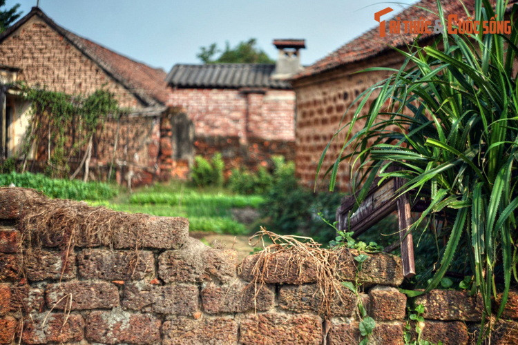 Nằm ở thị xã Sơn Tây, thành phố Hà Nội, làng cổ Đường Lâm là ngôi làng cổ nổi tiếng bậc nhất Việt Nam. Góp phần làm nên giá trị đặc biệt cho diện mạo cảnh quan của ngôi làng này là một loại vật liệu xây dựng đặc biệt: Những viên gạch đá ong.