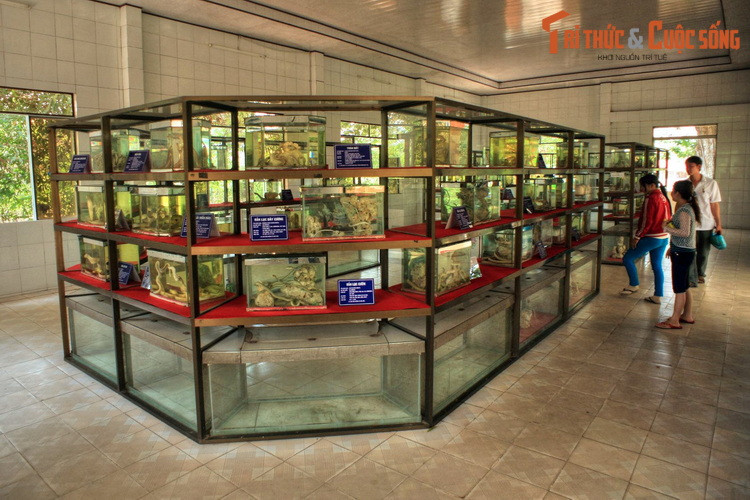 3. Trong khuôn viên Trại rắn Đồng Tâm ở huyện Châu Thành, tỉnh Tiền Giang có một bảo tàng độc nhất vô nhị của Việt Nam: Bảo tàng Rắn. Bảo tàng này là nơi lưu giữ tiêu bản của hầu hết các loài rắn của Việt Nam.